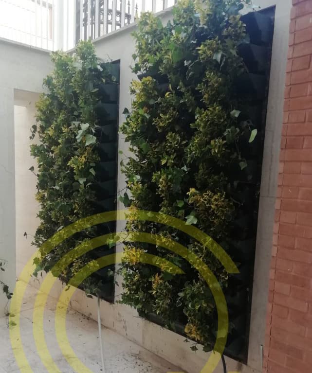 تاثیر دیوار سبز در محوطه سازی