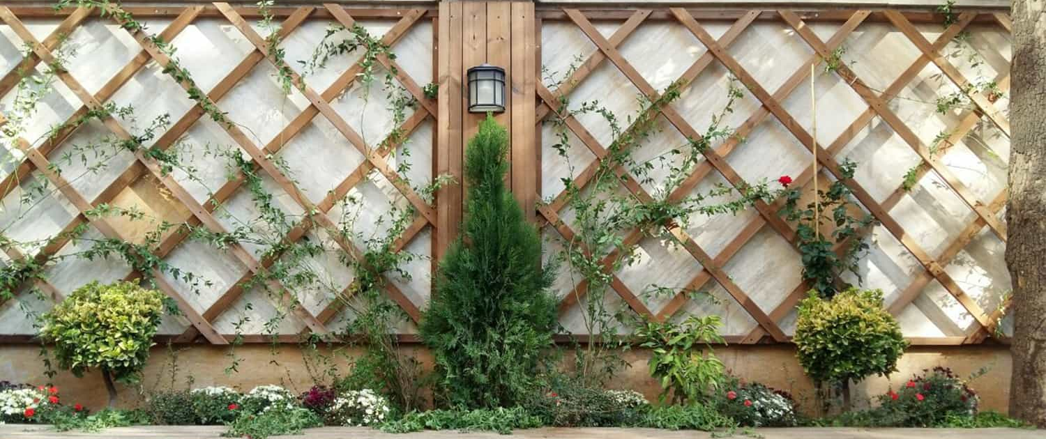 گرین وال یا دیوار سبز طراحی شده توسط شرکت چوب و چکش قزوین