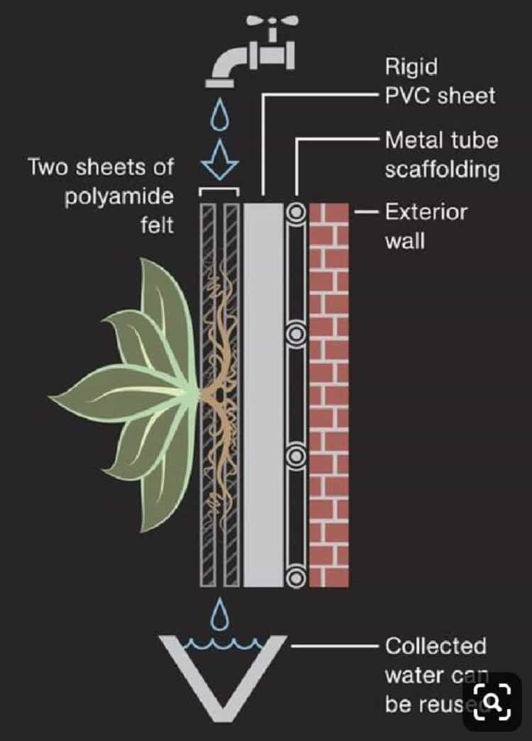 مکانیزم دیوار سبز هیدروپونیک