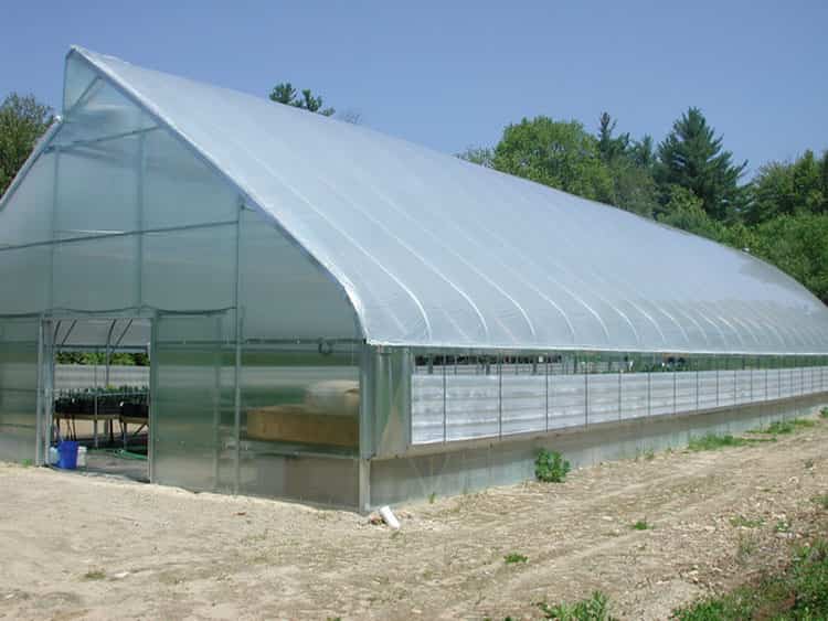 نمای یک گلخانه با سقف پلاستیک