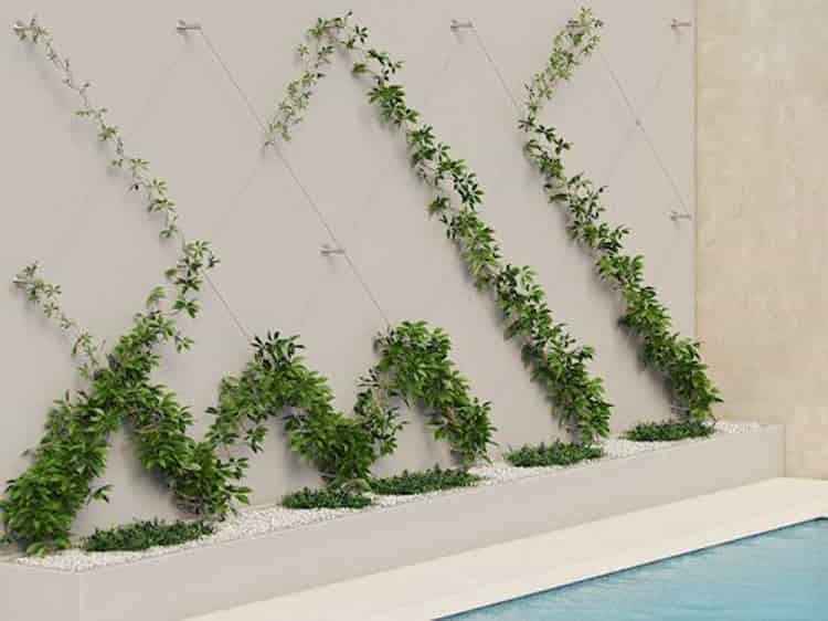 ایجاد طرح در دیوار سبز کابلی