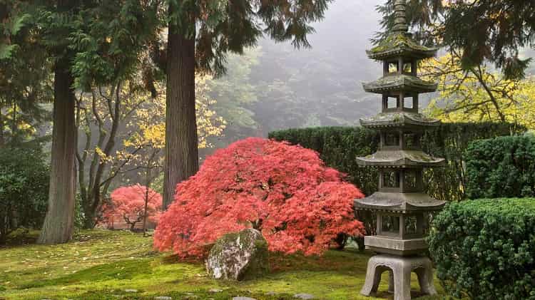 باغ ژاپنی در پورتلند