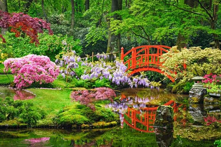 باغ ژاپنی و شباهت آن به تابلوی نقاشی