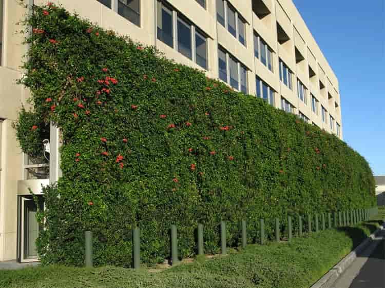 دیوار سبز شبکه ای برای زیباسازی ساختمان