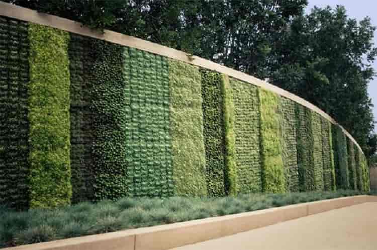 دیوار سبز شبکه ای وسیع