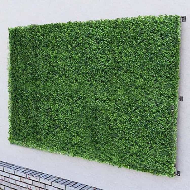 دیوار پوش گیاهی چیست