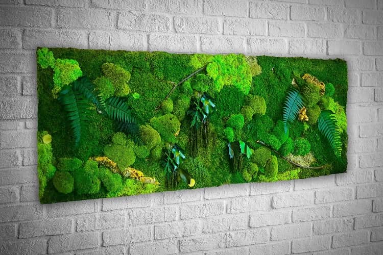 طرح زیبا از یک دیوار سبز خزه ای