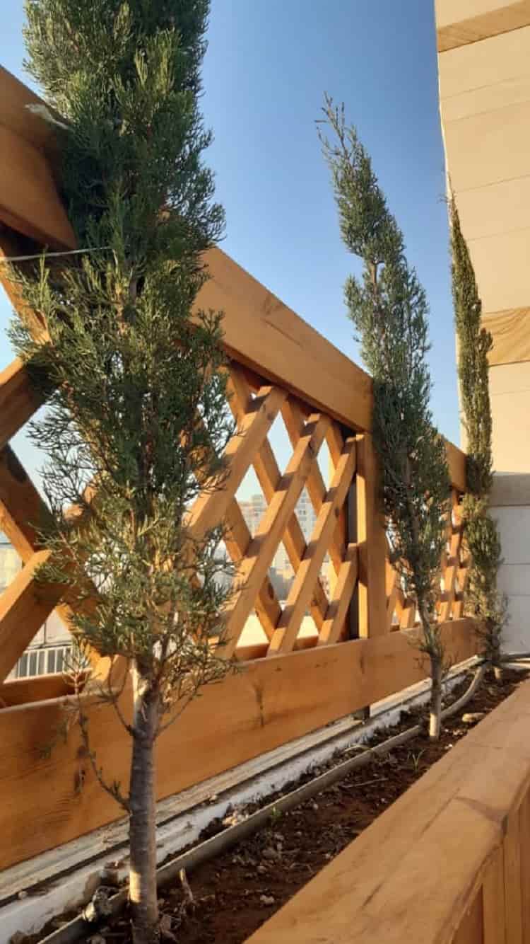 استفاده از ترموود در معماری سبک ایران