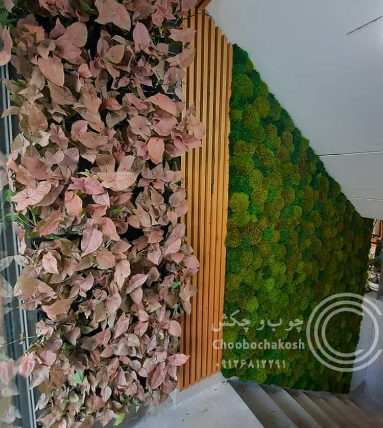 ترکیب ماس وال و گیاهان دیوار سبز برای ساخت دیوار سبز ساده