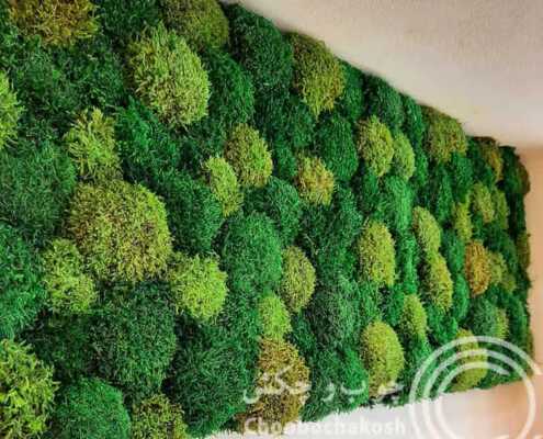 ماس وال به عنوان یک دیوار سبز ساده