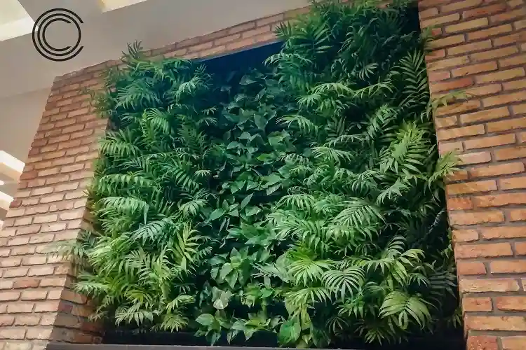 اجرای دیوار سبز با ابعاد دلخواه